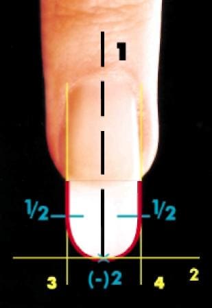 форма свободного края ногтя