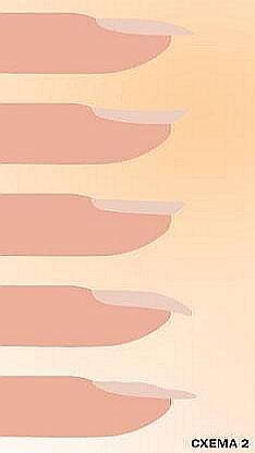 Различные формы натуральных ногтей